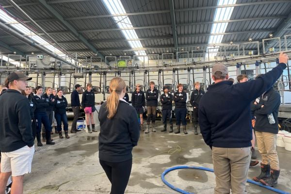 Students visit Rakaia Island dairy farm 